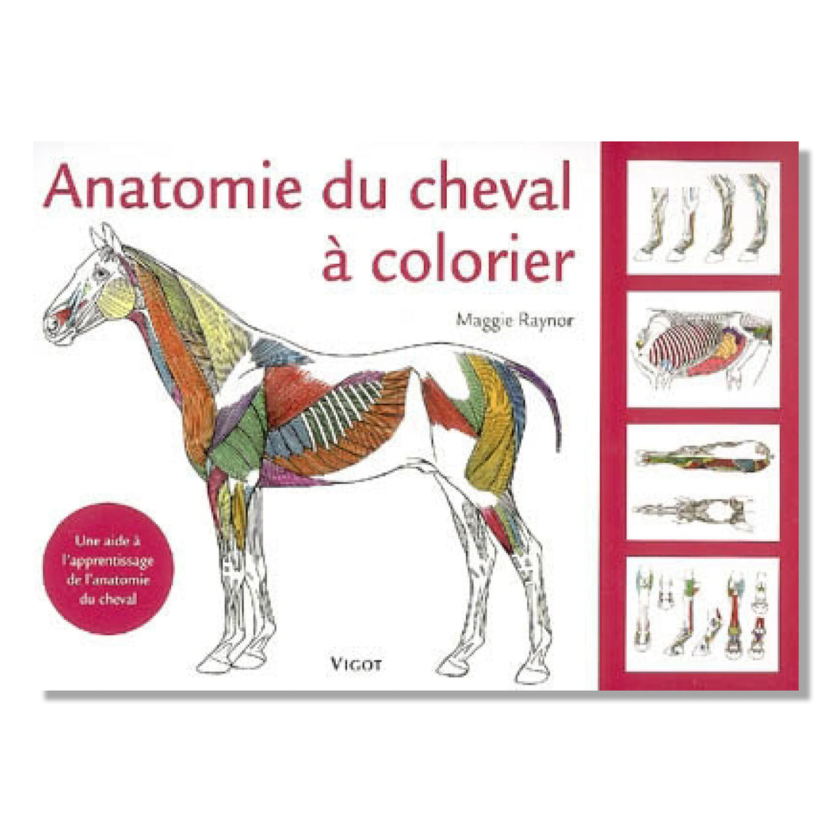 Anatomie du cheval à colorier - French
