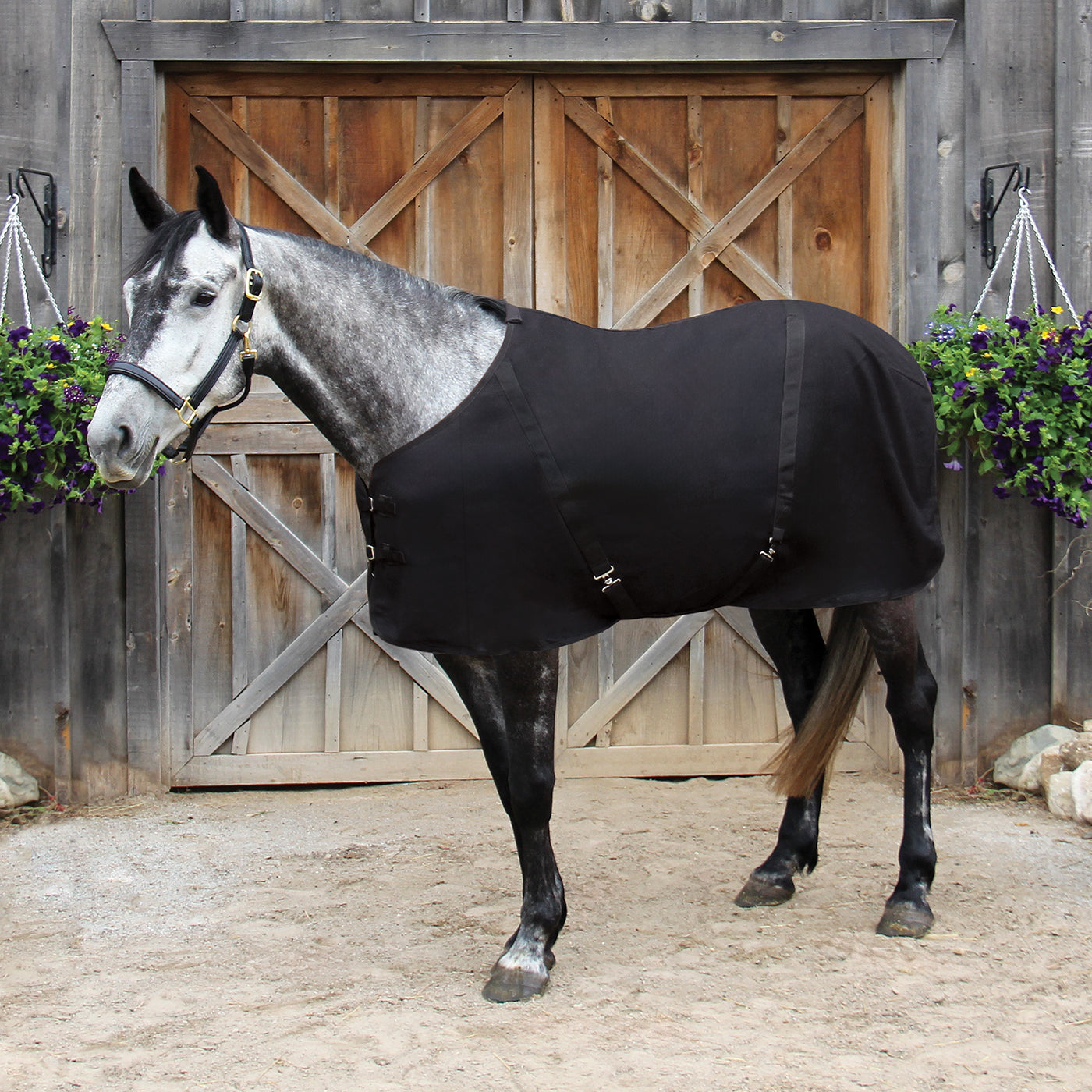 Supra Wool Cooler – Greenhawk Equestrian Sport