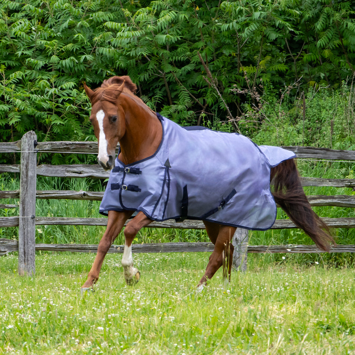 Couverture anti-mouches en textilène Shedrow