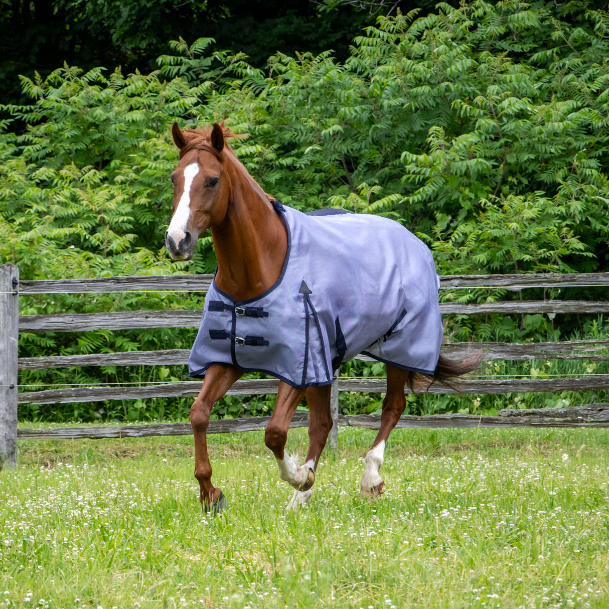 Couverture anti-mouches en textilène Shedrow