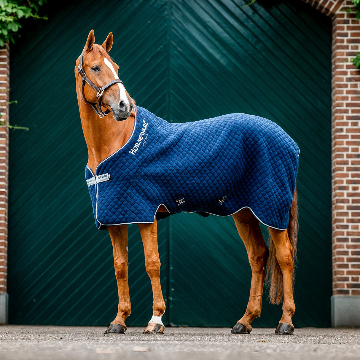 Couverture de refroidissement d'automne Horseware