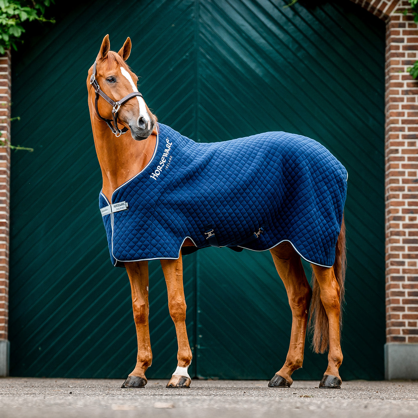 Couverture de refroidissement d'automne Horseware