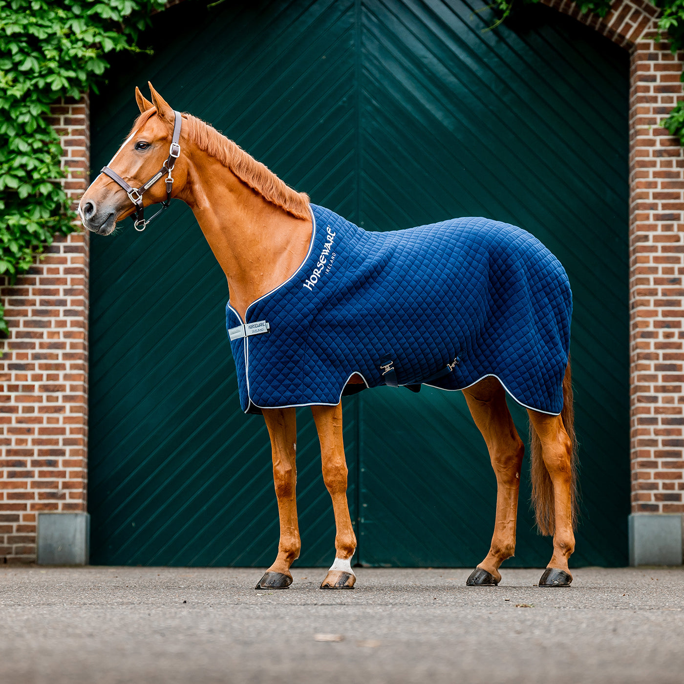 Couverture de refroidissement d'automne Horseware