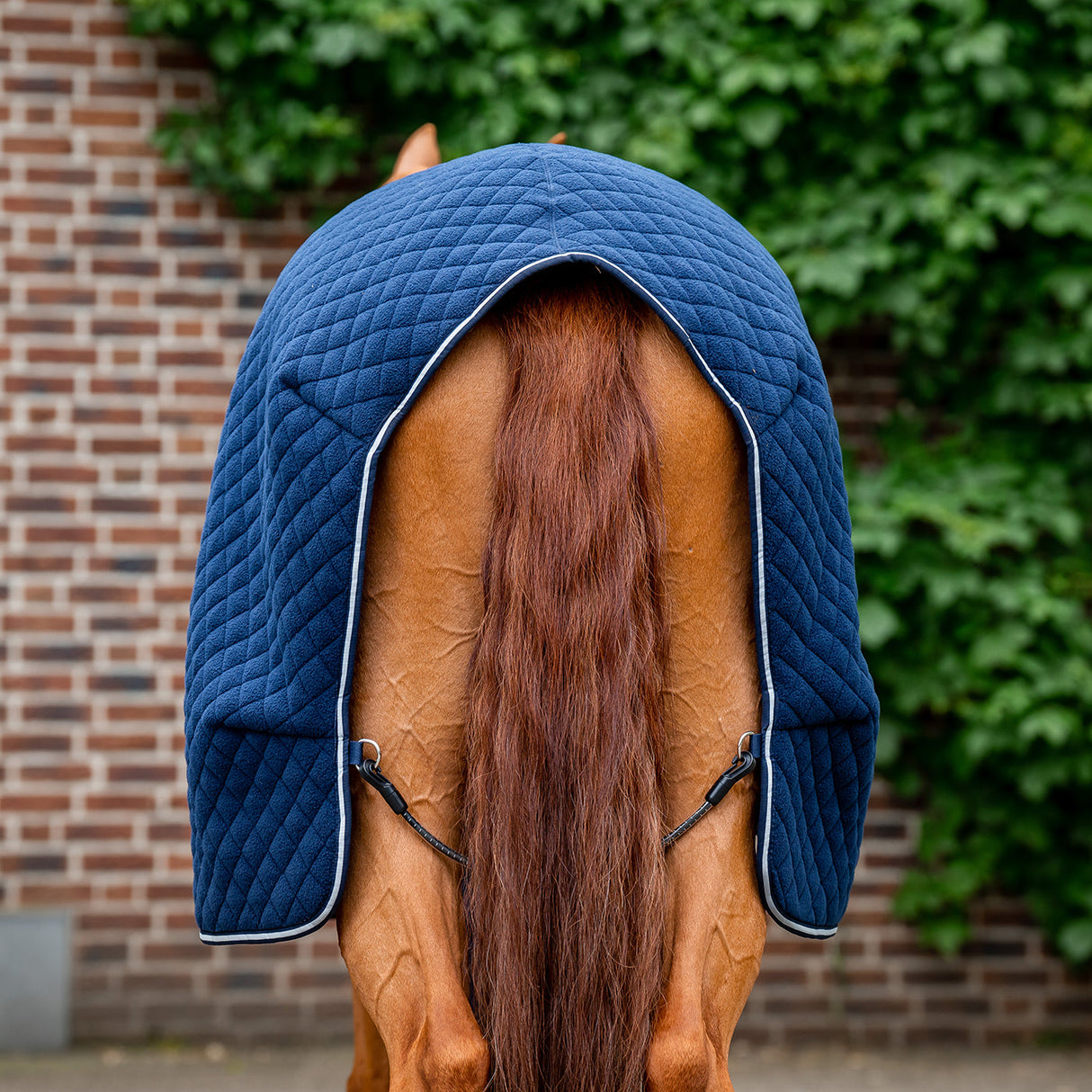 Couverture de refroidissement d'automne Horseware