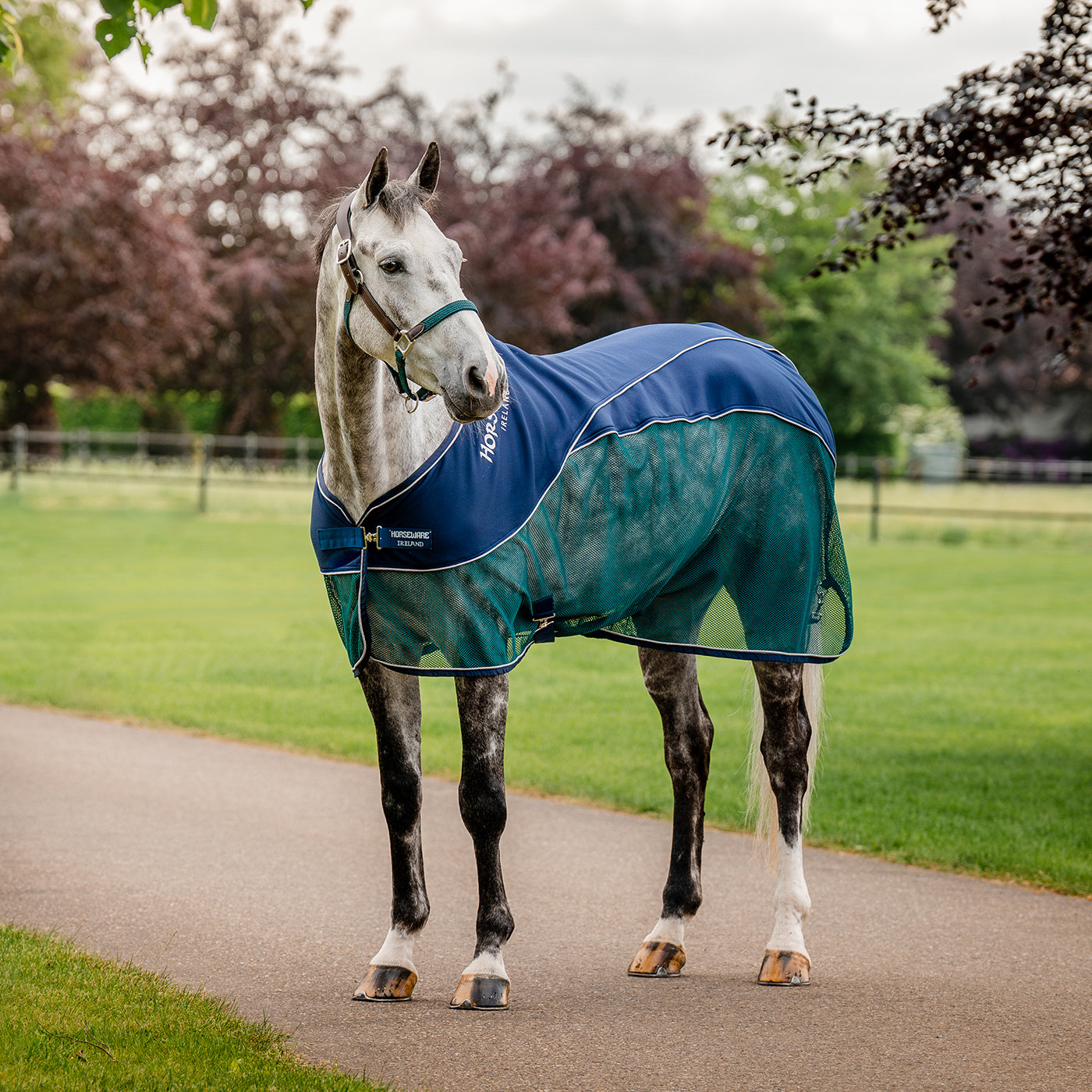 Couverture de refroidissement de sport Horseware Signature
