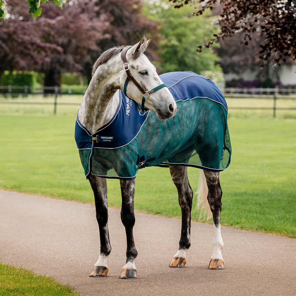 Couverture de refroidissement de sport Horseware Signature