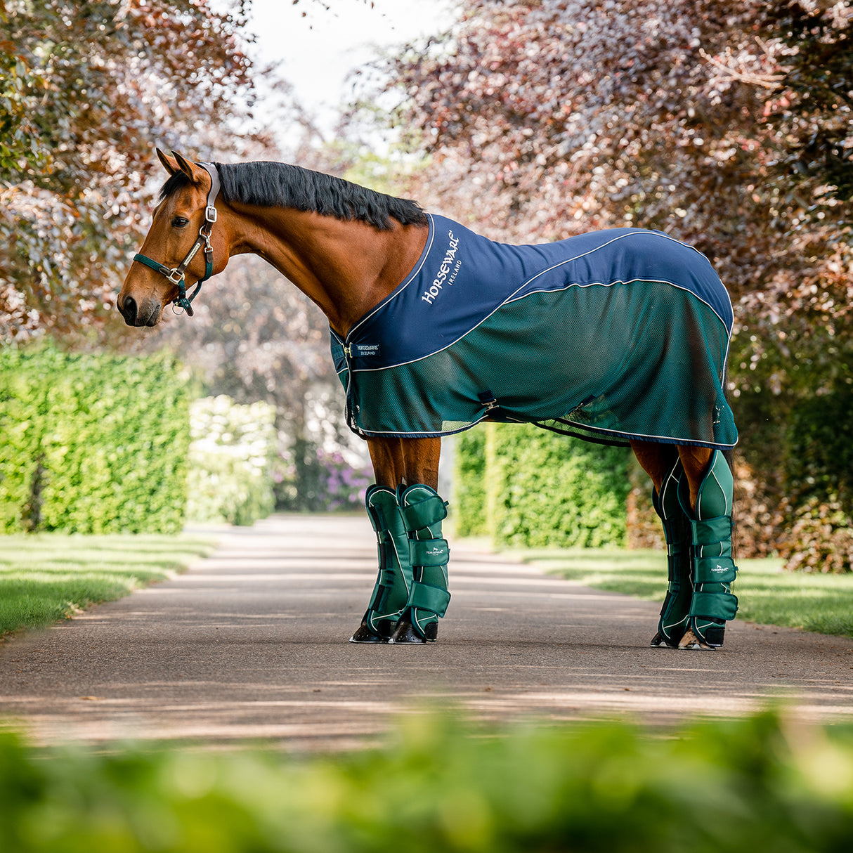 Couverture de refroidissement de sport Horseware Signature