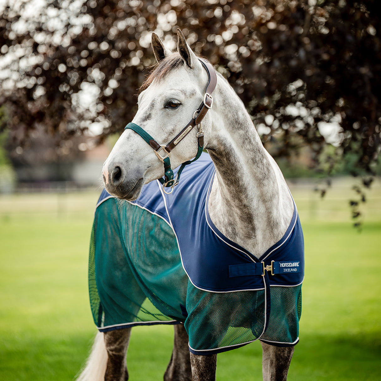 Couverture de refroidissement de sport Horseware Signature