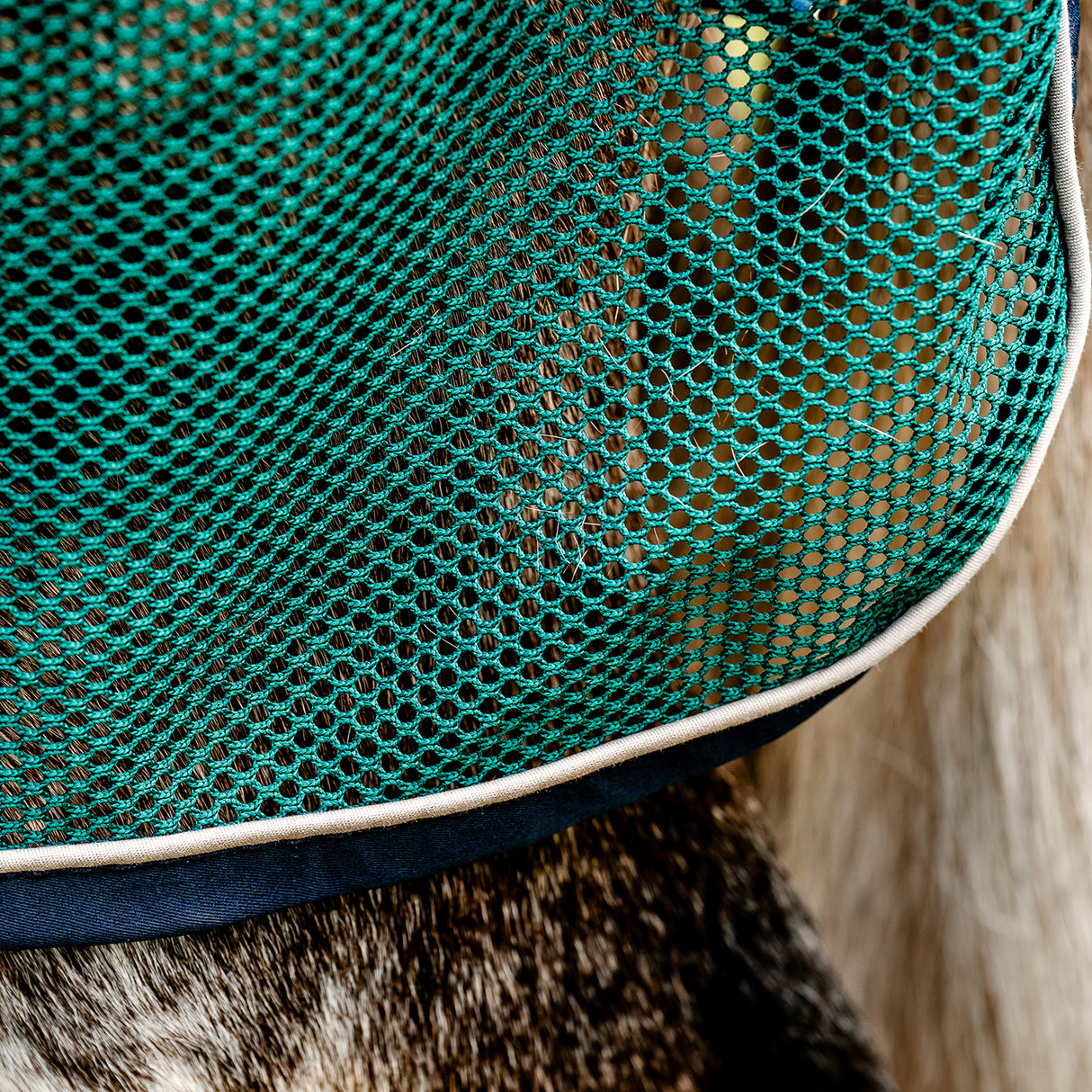Couverture de refroidissement de sport Horseware Signature
