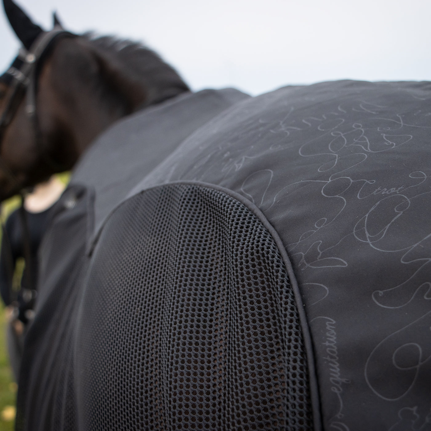 Shedrow Onyx Scrim Sheet