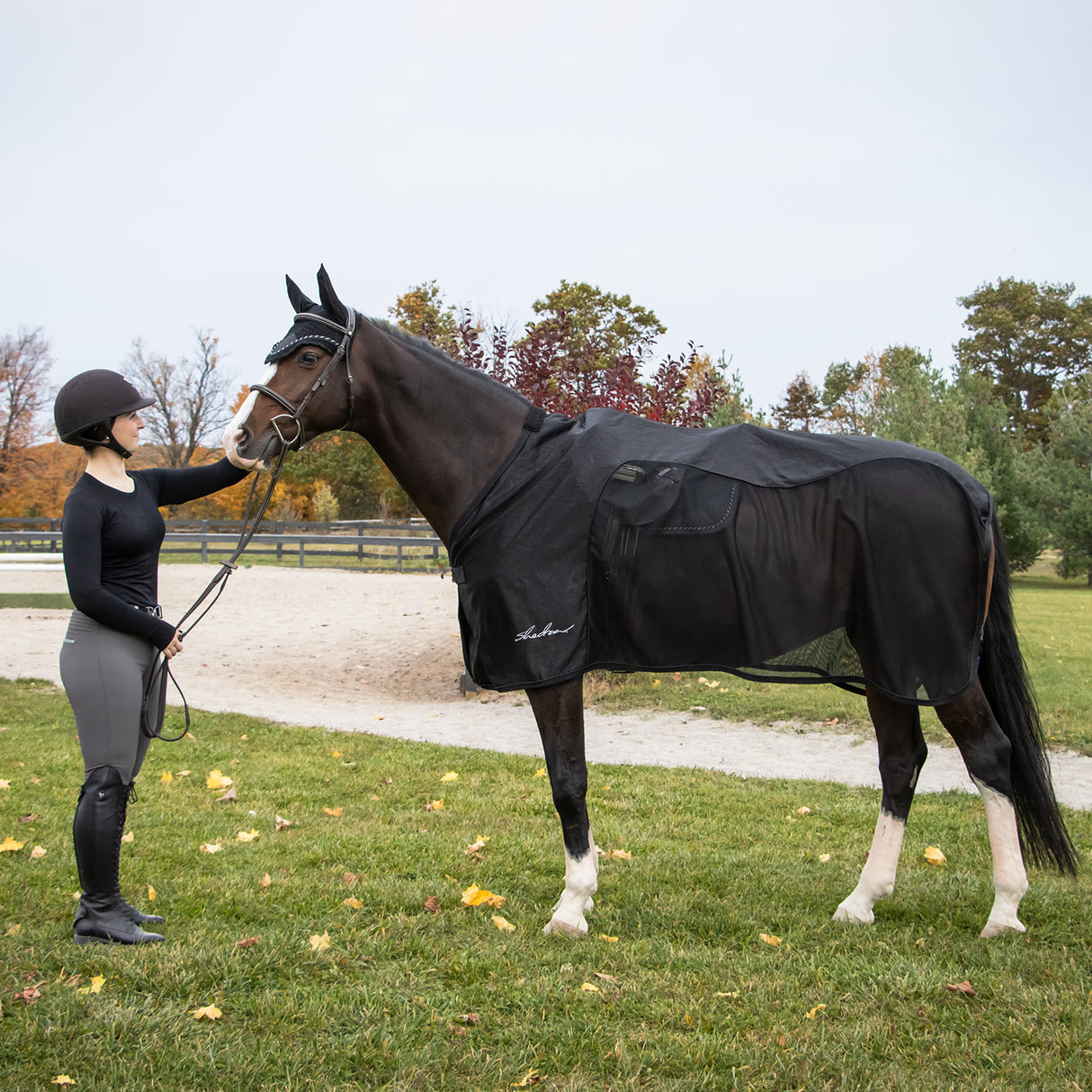 Shedrow Onyx Scrim Sheet