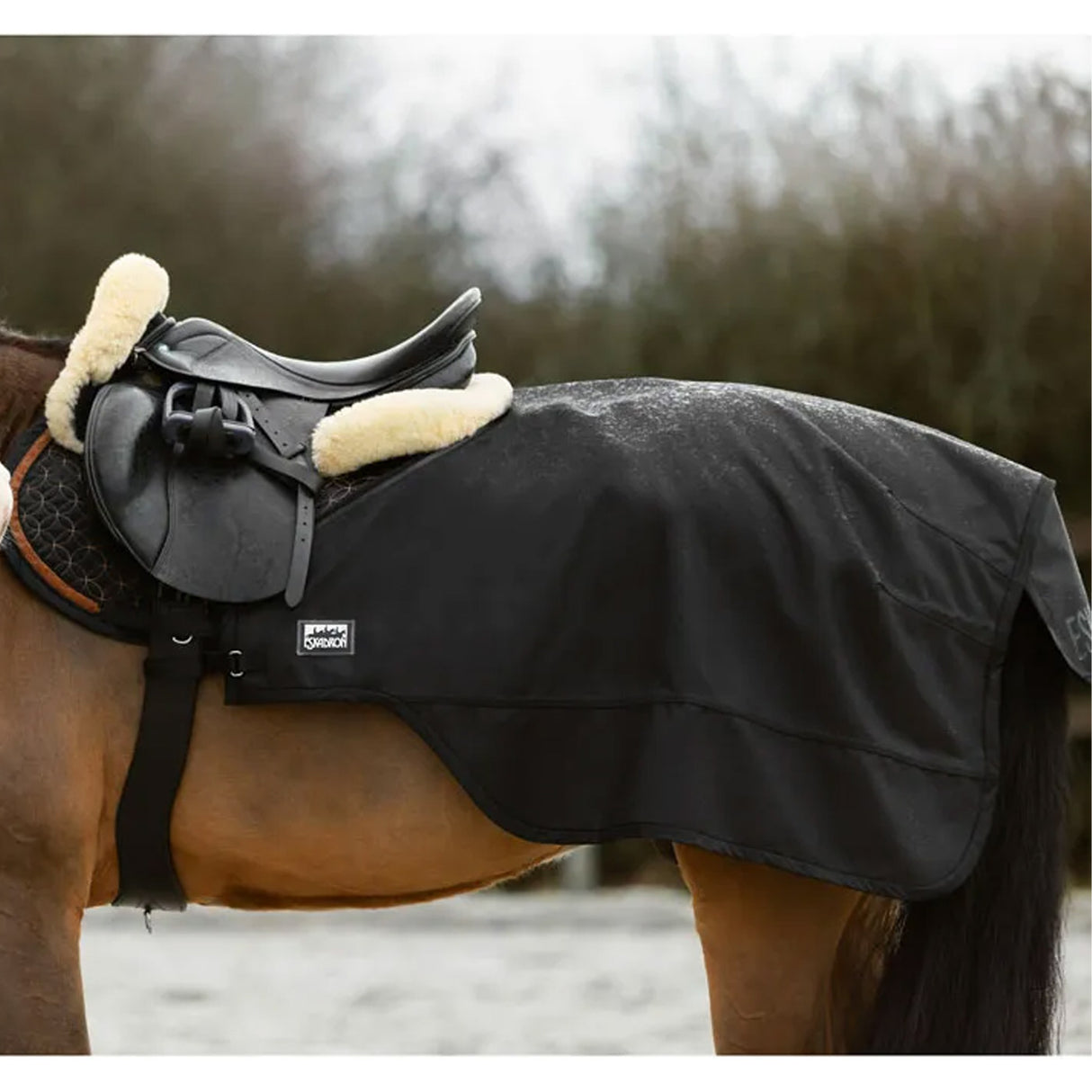 Eskadron Lunge & Exercise Sheet