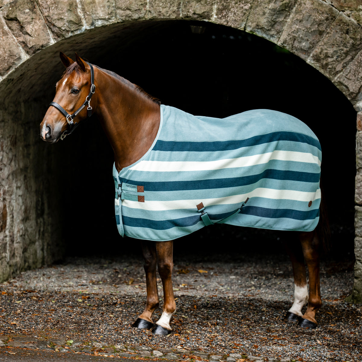 Couverture polaire pour cheval Imperial Riding Ambient Galaxy IMPERIAL Couverture polaire pour cheval Imperial Riding Ambient Galaxy IMPERIAL