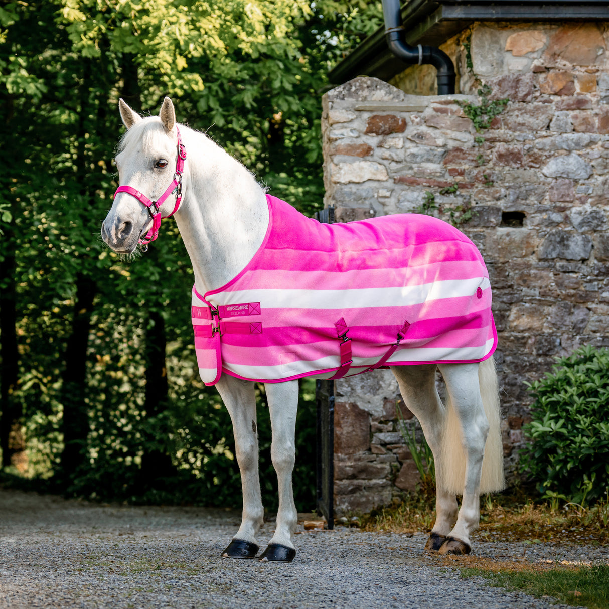 Séchoir polaire Horseware Newmarket