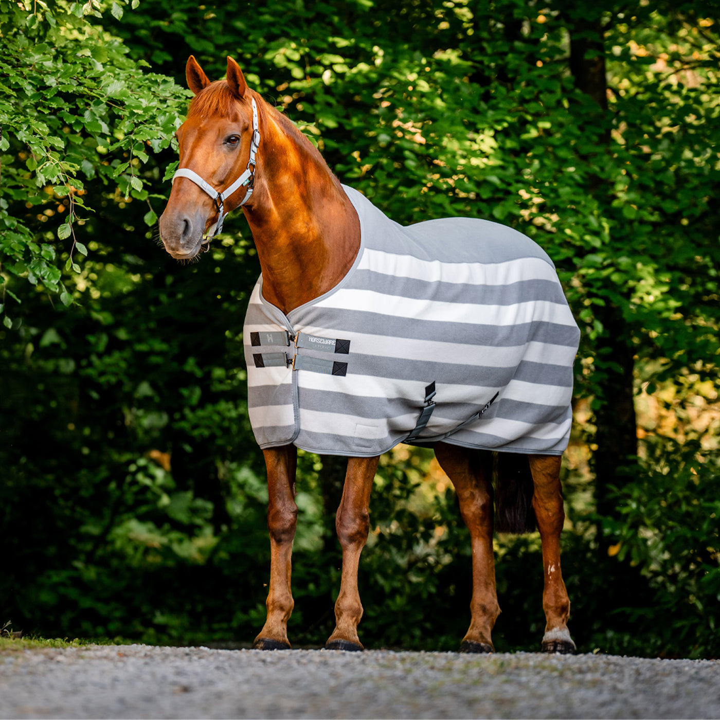 Séchoir polaire Horseware Newmarket
