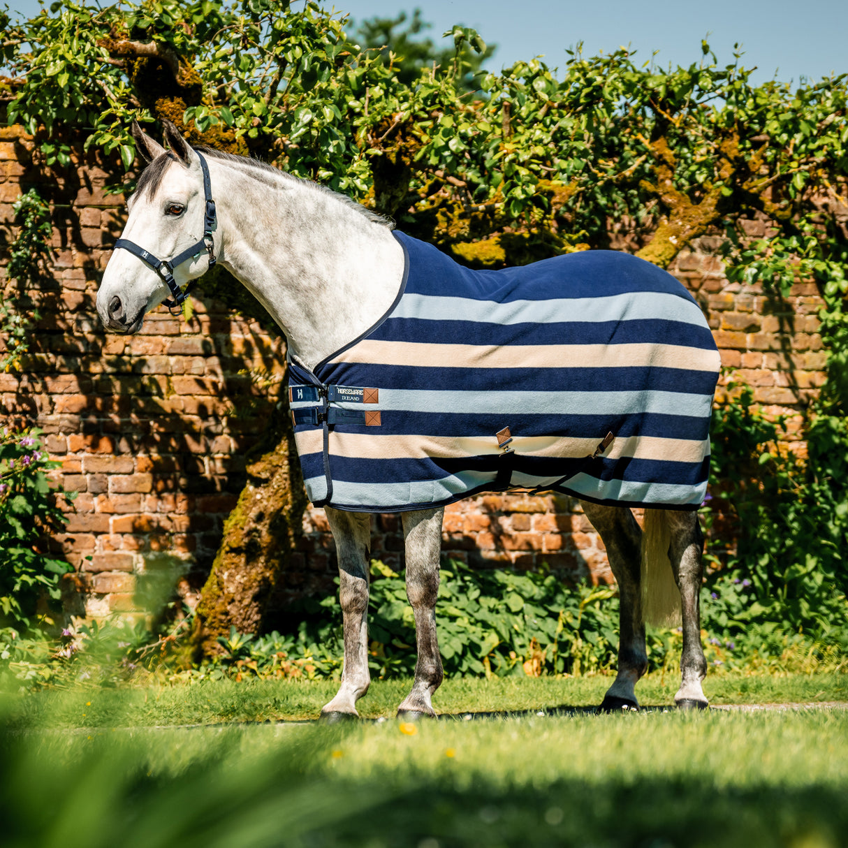 Séchoir polaire Horseware Newmarket
