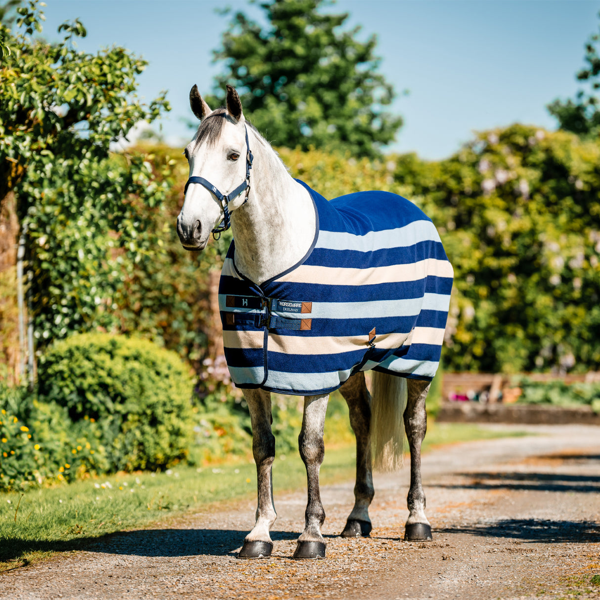 Séchoir polaire Horseware Newmarket
