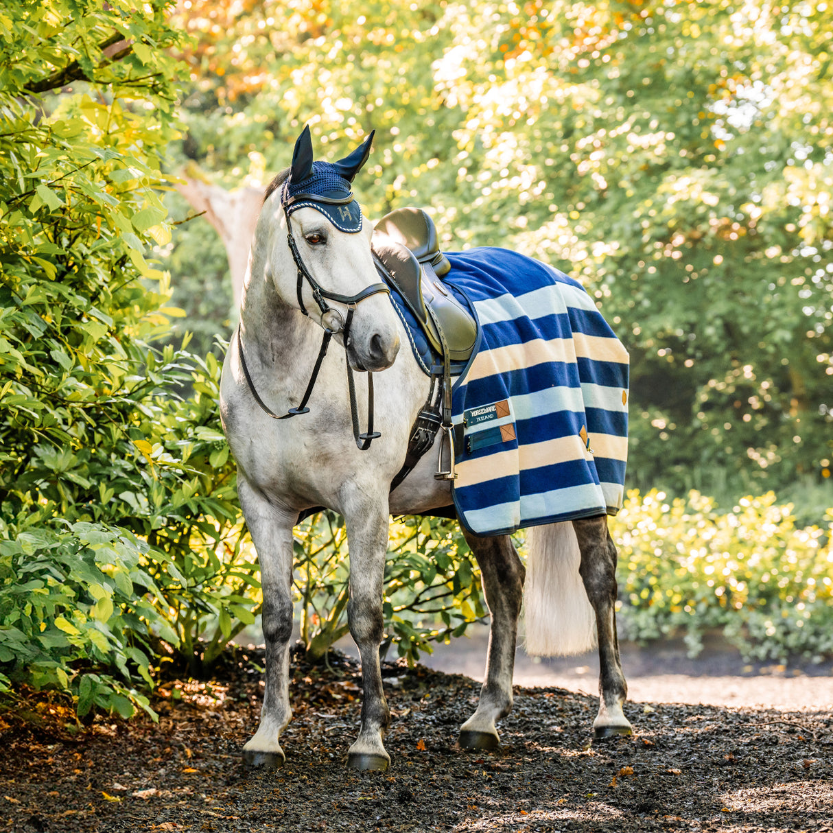 Séchoir polaire Horseware Newmarket