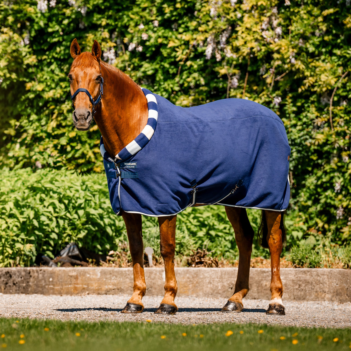 Sac isotherme en polaire confortable Horseware Newmarket