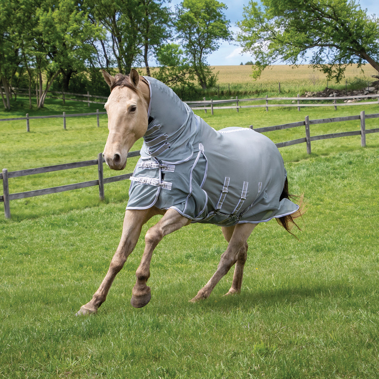 Shedrow Extend-A-Neck Fly Sheet 2.0