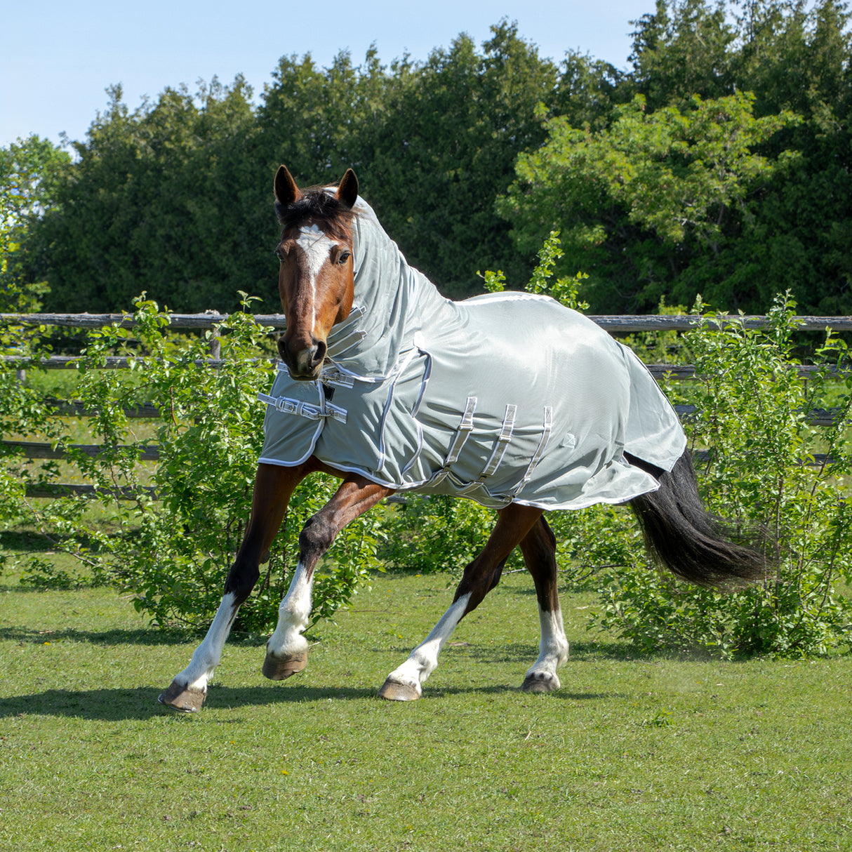 Shedrow Extend-A-Neck Fly Sheet 2.0