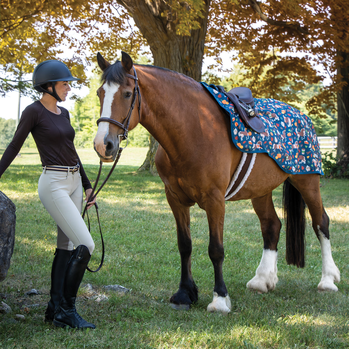 Pumpkin Spice Ponies x Supra Exercise Sheet