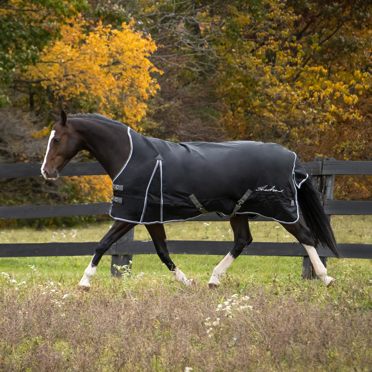 Breyer Horse Blanket + Neck Cover