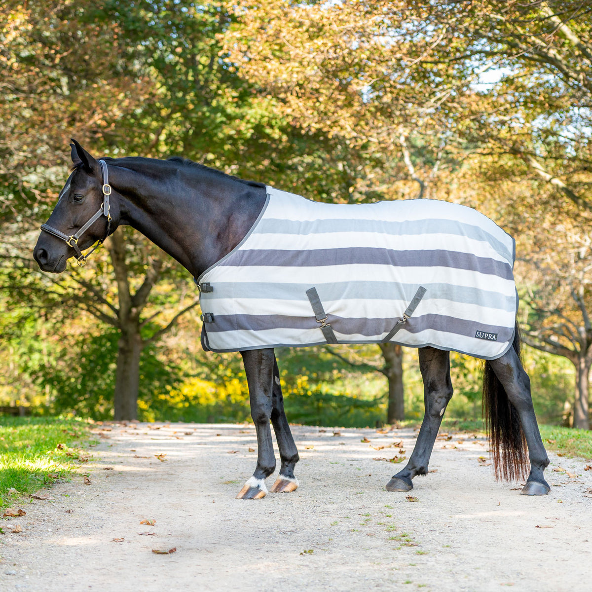 Couverture Réfrigérante OTTB Designs 70 Noir - Modèle Retraité RARE Pour Cheval