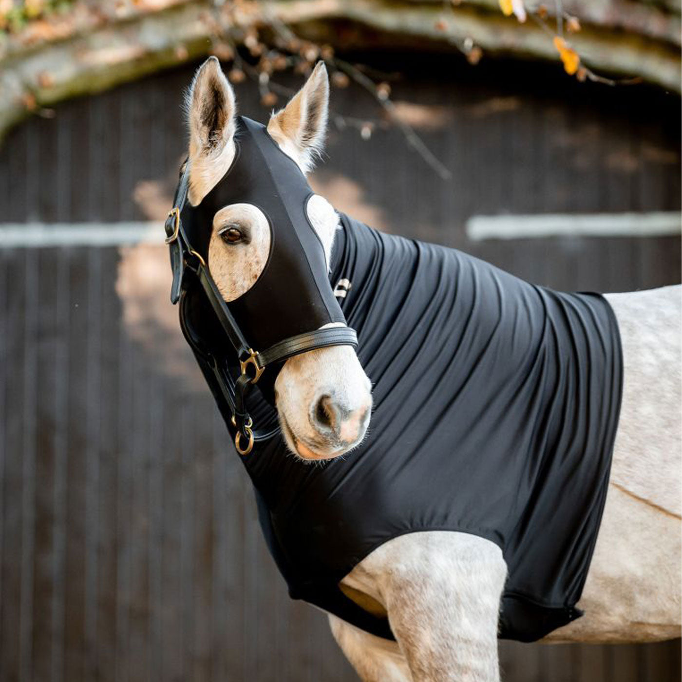 Horseware Rambo Supreme Turnout Heavy 420g - Noir/Orange | GmbH