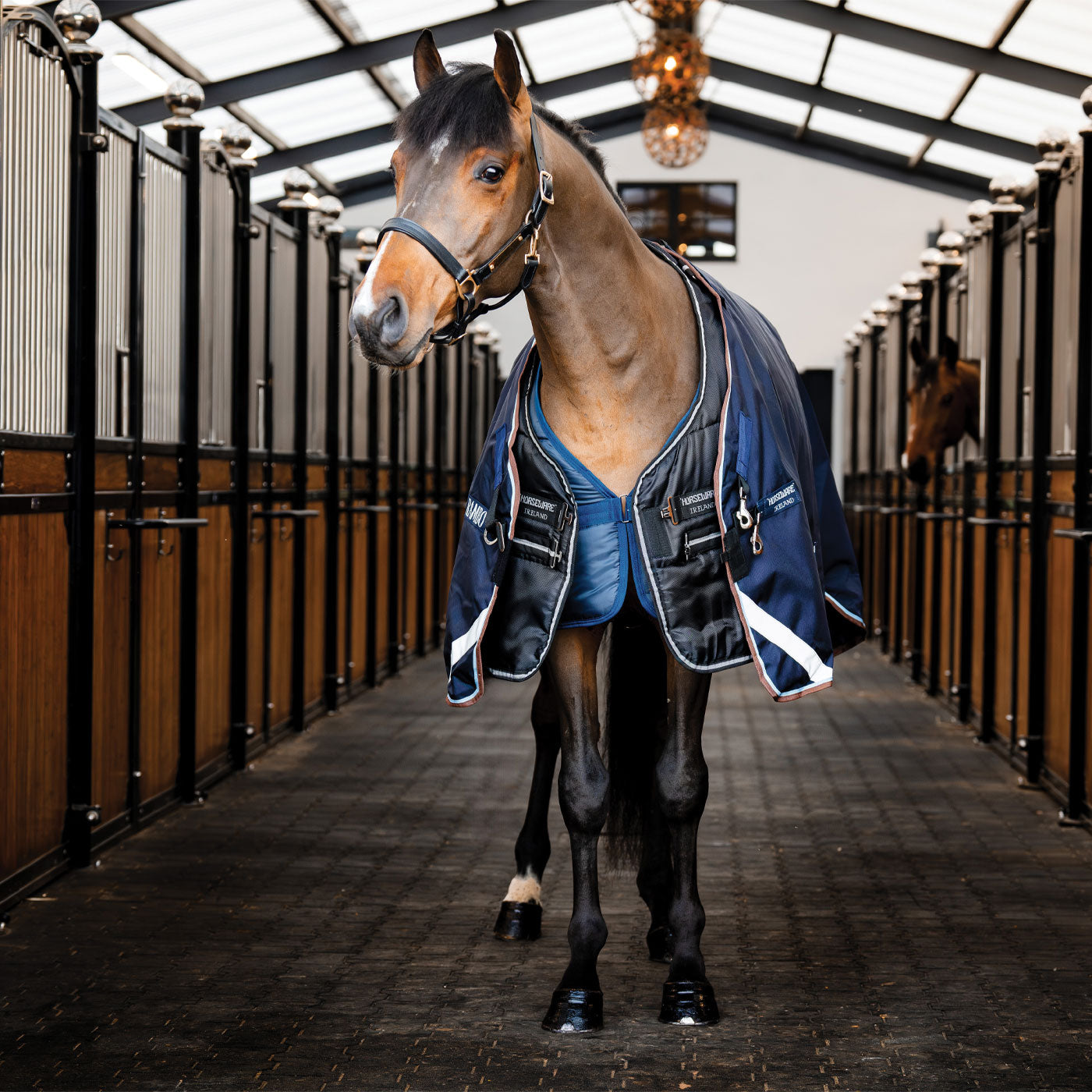Couverture d'écurie Horseware Easy-Layer 100 g