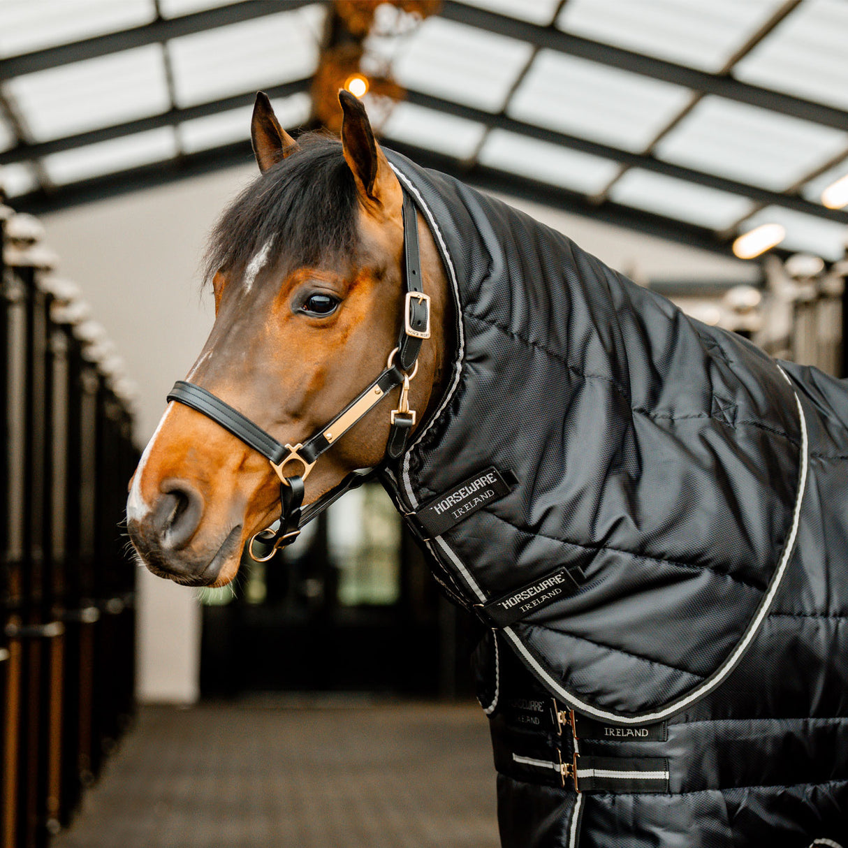 Cagoule stable Horseware Easy-Layer 100 g