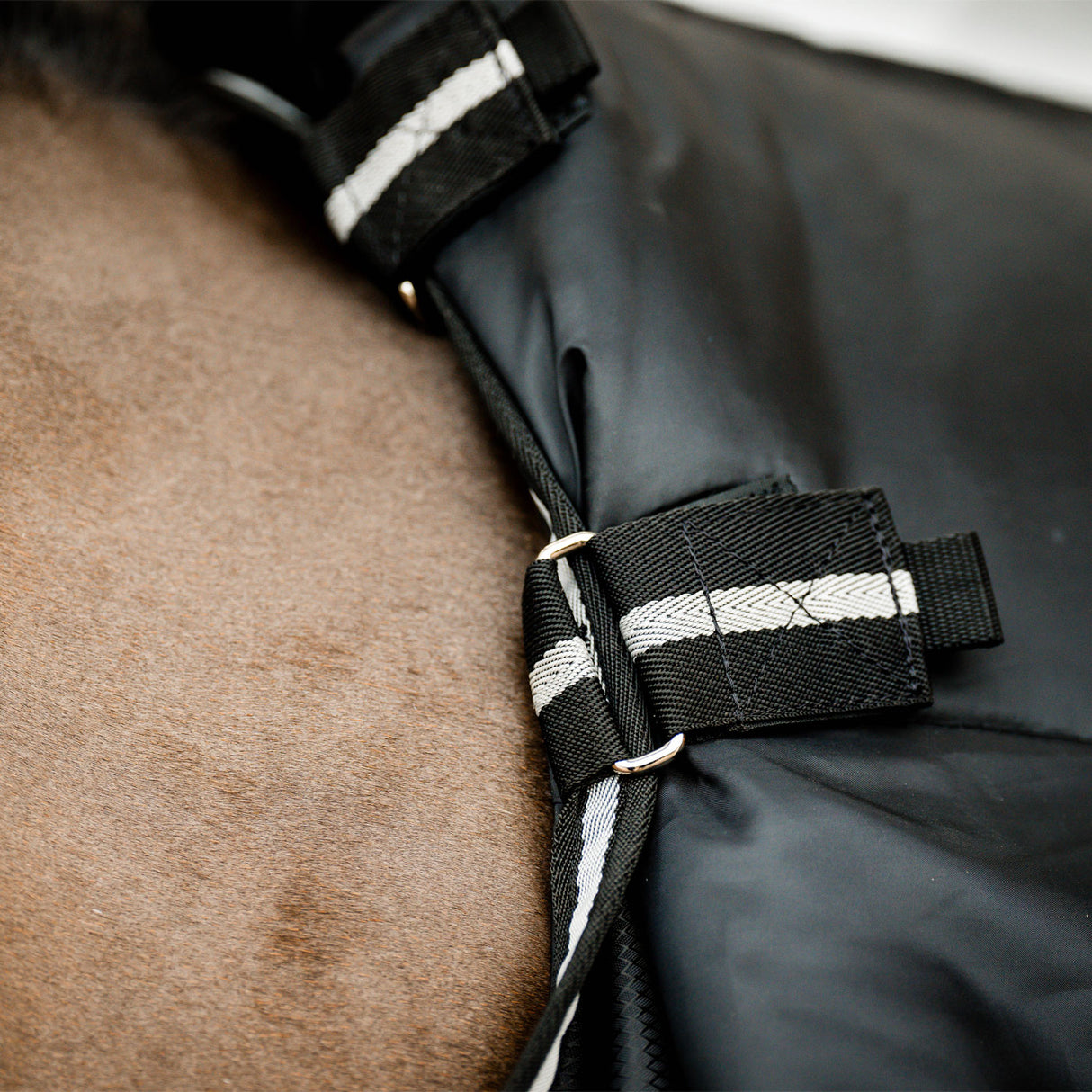 Couverture d'écurie Horseware Easy-Layer Plus 200 g
