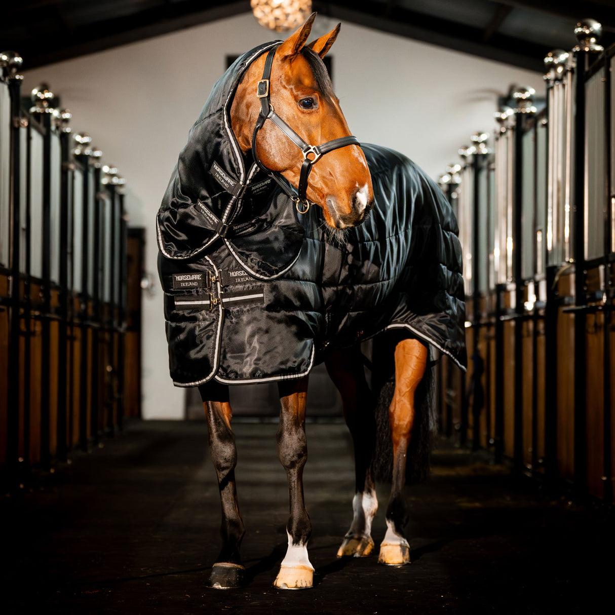 Couverture d'écurie Horseware Easy-Layer Plus 400 g