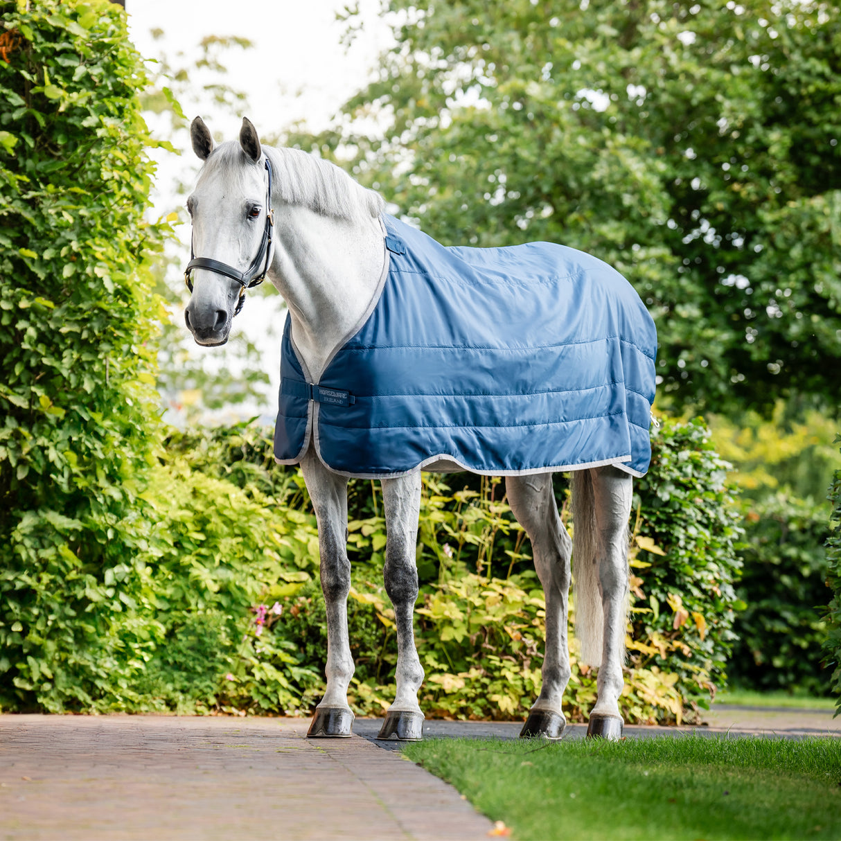 Doublure pour thérapie ionique Horseware 50 g