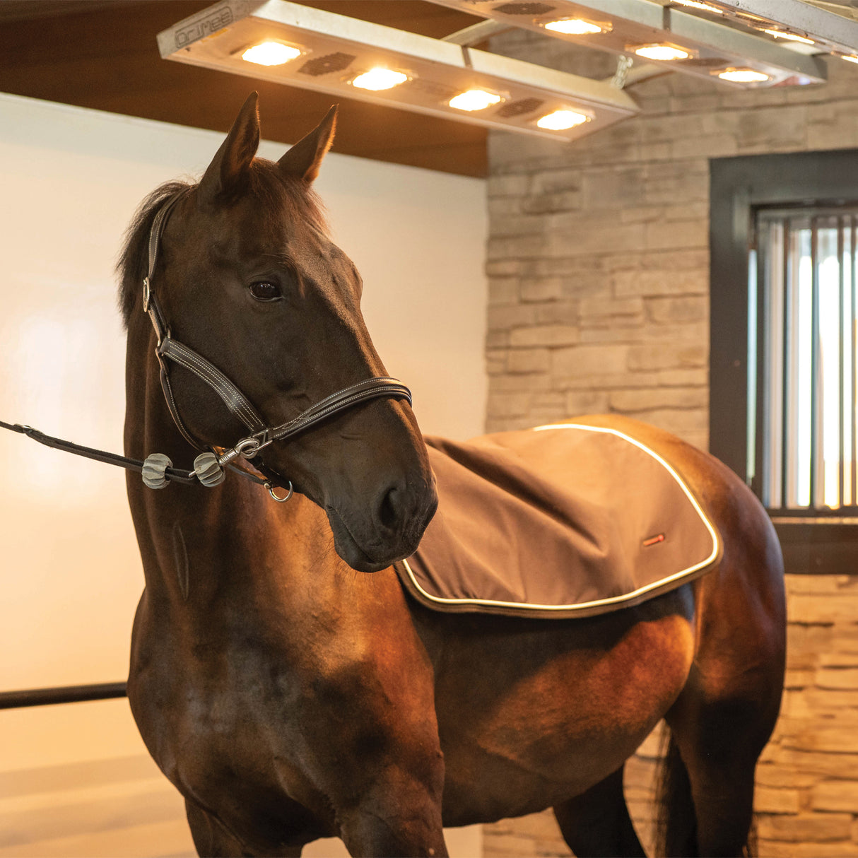 Chauffe-dos Thermal Therapy