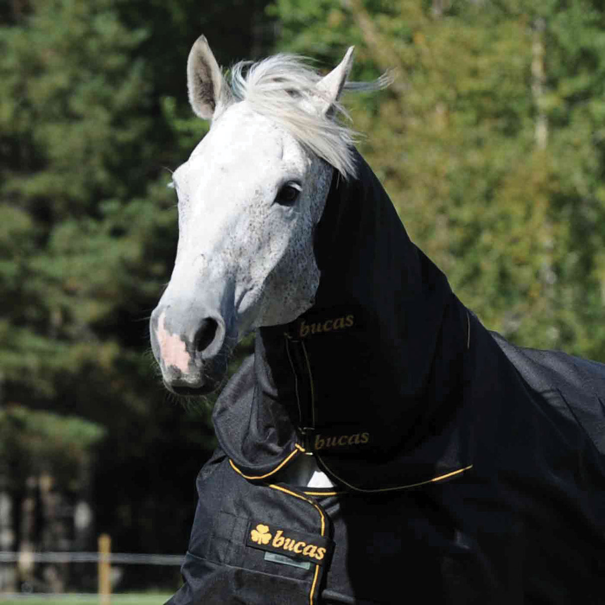 Bucas Irish Turnout Combi Neck