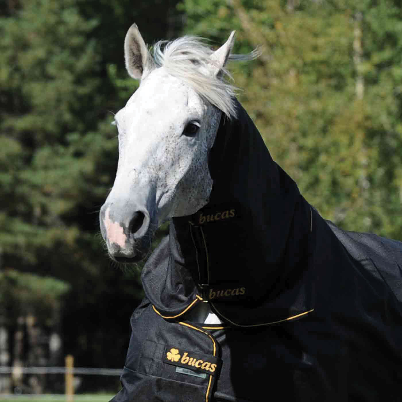 Bucas Irish Turnout Combi Neck