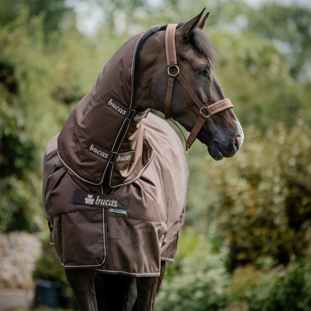 Bucas Irish Turnout Combi Neck