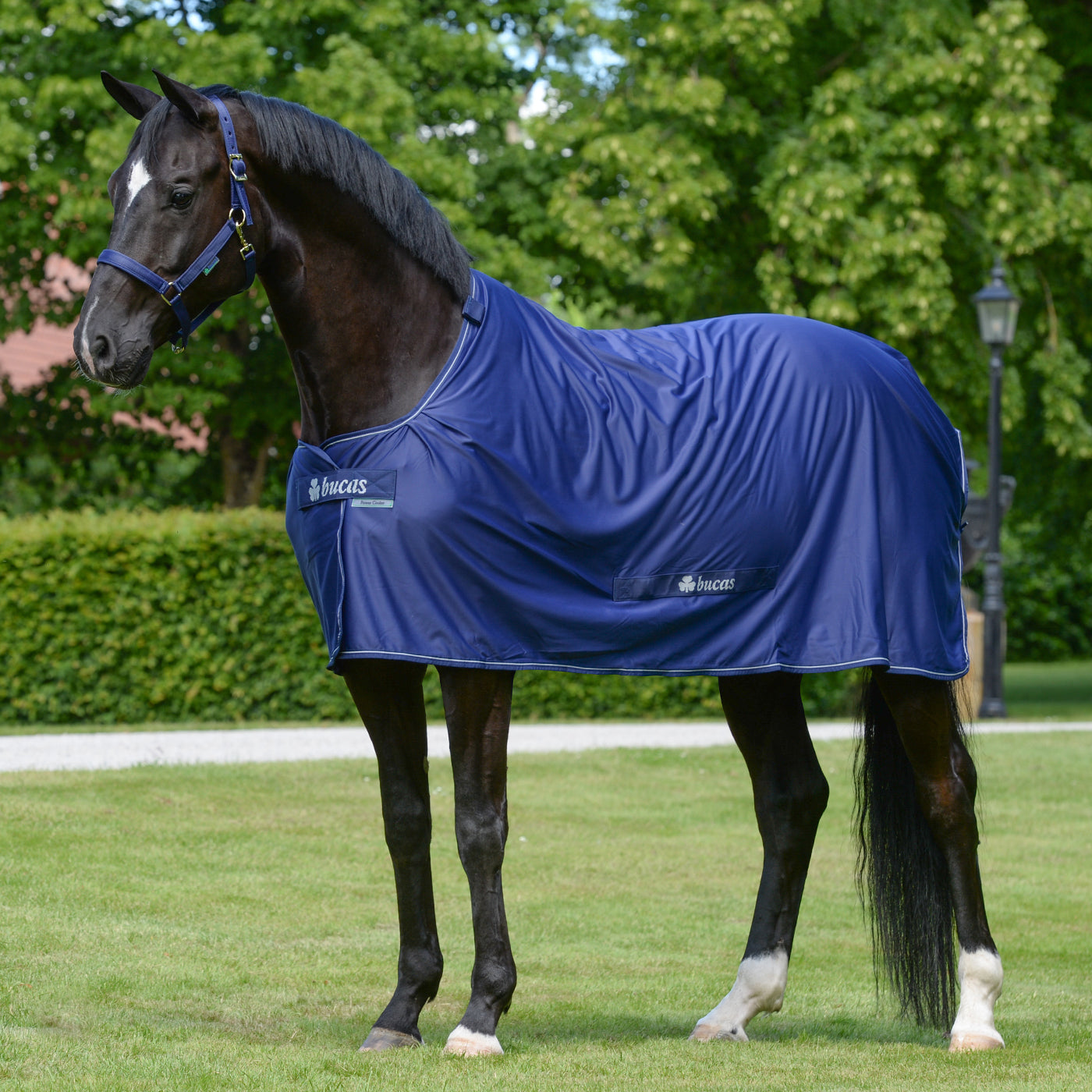 Glacière électrique Bucas Pony