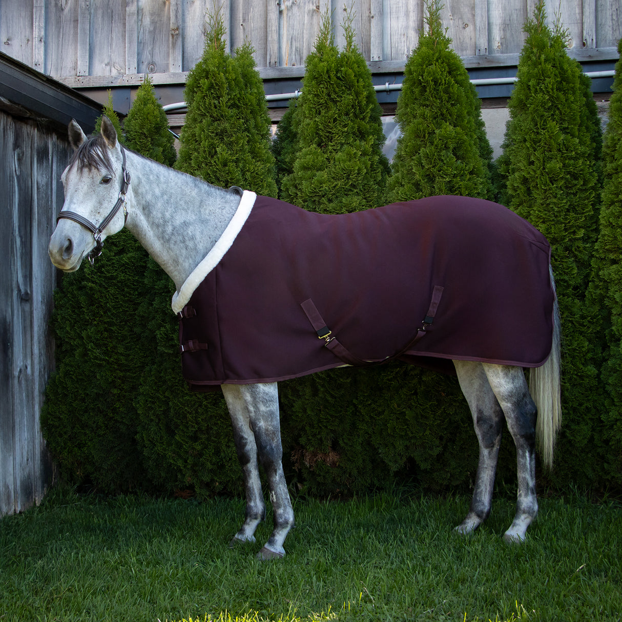 Shedrow Soft Shell Cooler