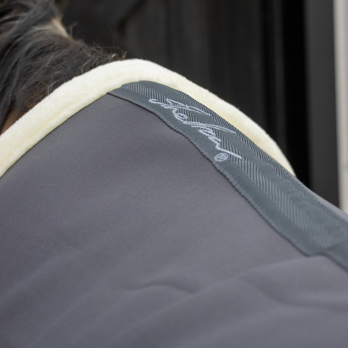 Shedrow Soft Shell Cooler