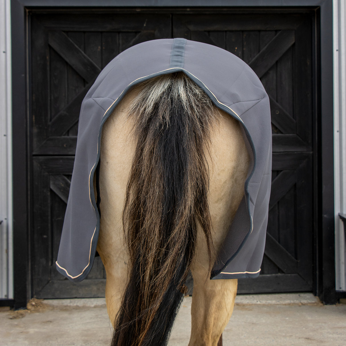 Shedrow Soft Shell Cooler