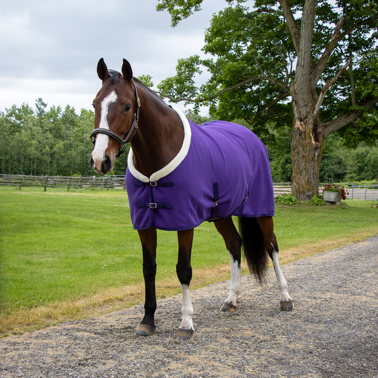 Couverture de refroidissement Soft Shell Shedrow