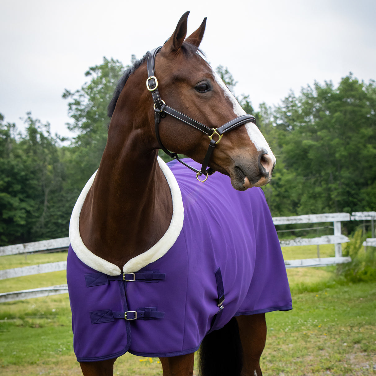 Couverture de refroidissement Soft Shell Shedrow