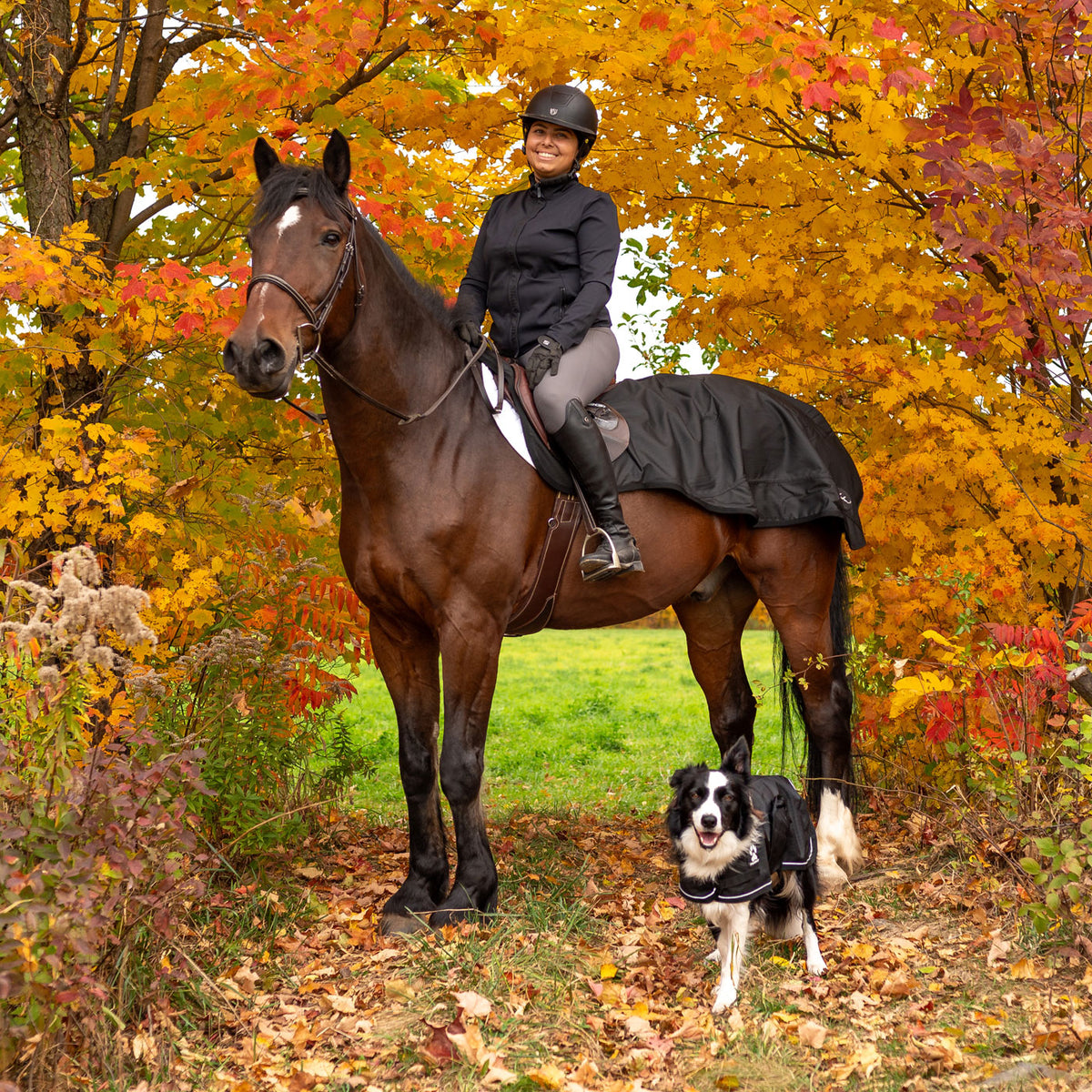 Sac à bottes Shedrow – Greenhawk Equestrian Sport