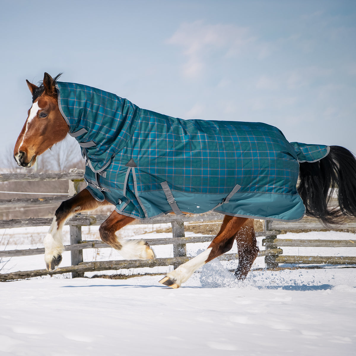 Supra Channel Quilt Stable Blanket 300 g – Greenhawk Equestrian Sport