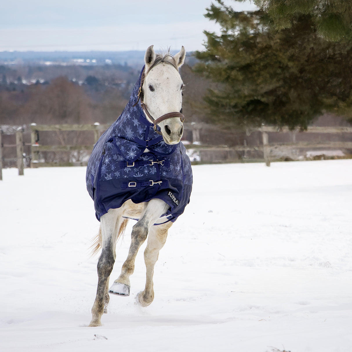 Supra Full Neck Turnout Blanket 300 g