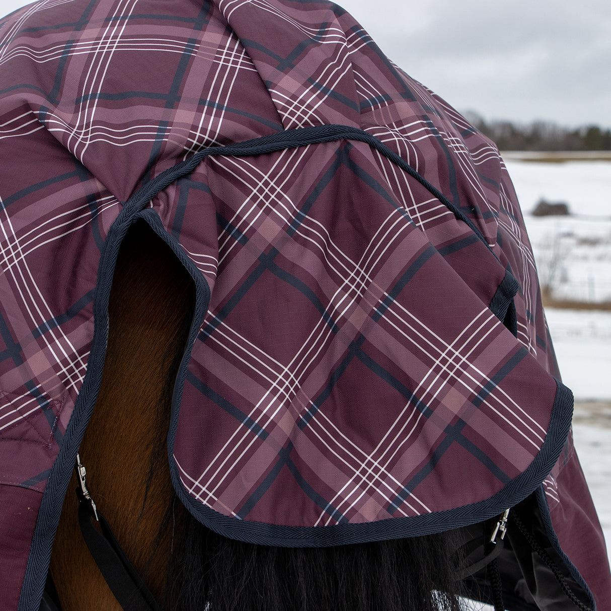 Supra Full Neck Turnout Blanket 300 g