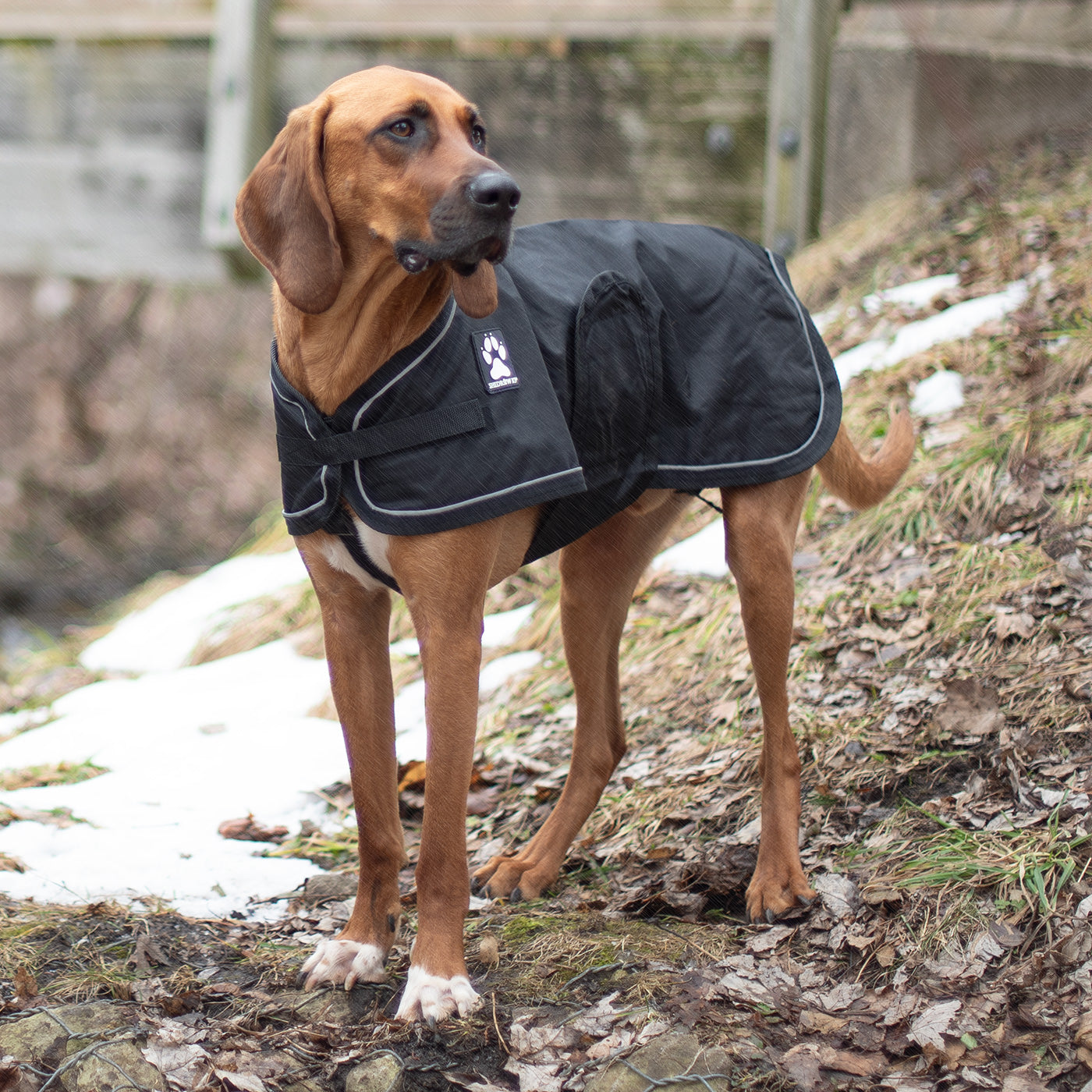 Shedrow K9 Harbour 2.0 Rain Coat