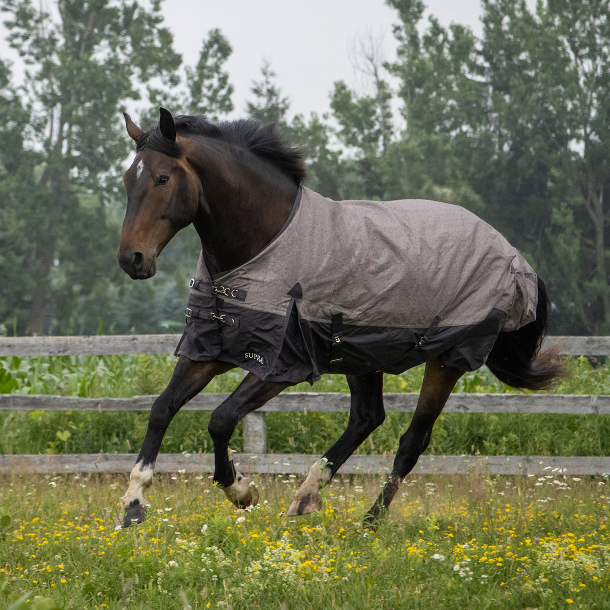 Couverture de pluie Supra